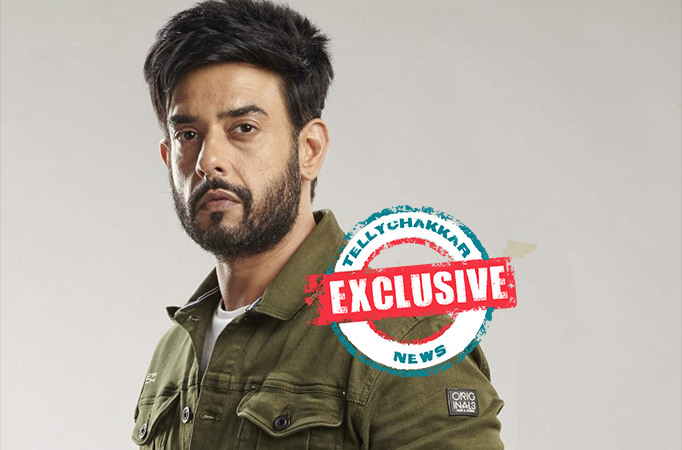 EXCLUSIVE! Zindagi Mere Ghar Anna's Hasan Zaidi opens up about his Birthday Plans 