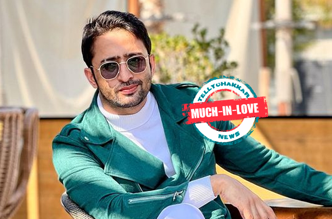 Much-in-Love! Shaheer Sheikh turns into a loving hubby, posts an adorable video featuring his lady love