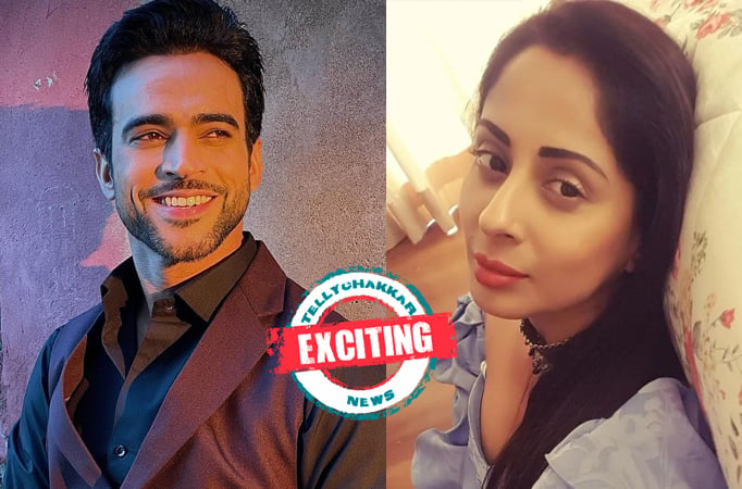 EXCITING! Not only Swaran Ghar, Rohit Chaudhary and Sangita Ghosh have been co-stars in this show too
