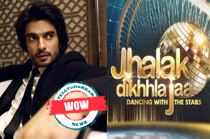 Jhalak Dikhhla Jaa Season 10 : Wow! Gashmeer Mahajani shares a video about the conversation he had with his choreographer before