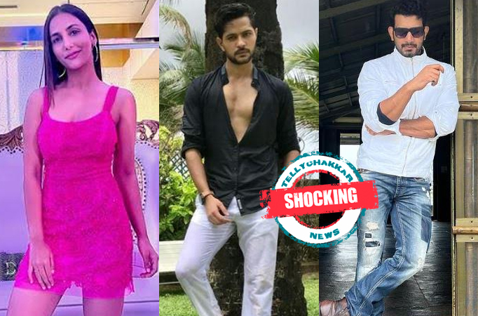 SHOCKING! 7 actors made an exit from Bade Achhe Lagte Hain 2 in a span of one year and fans dearly miss them 