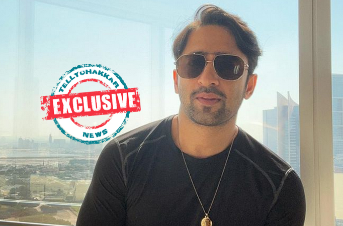Exclusive! Woh Toh Hai Albelaa’s Shaheer Sheikh revealed about the time when he was surprised by his fans’ demands, Erica respon