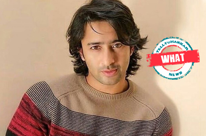 What? Shaheer Sheikh was almost a part of THESE Shows? Details Inside! 