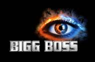 Bigg Boss Season 1 
