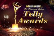 13th Indian Telly Awards