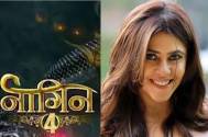 Naagin 4: Ekta Kapoor creates curiosity with her new promo with her shapeshifting Naggin 