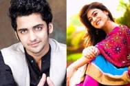 Falaq Naaz celebrates her birthday on the sets of Radha Krishn, co-star Sumedh wishes her in the sweetest way 
