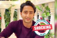 Shocking! THIS is what Shaheer Sheikh will do if he woke up as a woman 