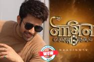WOW! Naagin 6: Pearl V Puri is back In Naagin, You cannot miss the FIRST LOOK!