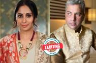 EXCITING! Sangita Ghosh and Varun Badola REMINICE this Iconic show; are they planning a sequel?