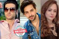 Breaking: Not Ahem Sharma, Shehzada Dhami to play the male lead in Smita Thackeray’s next on Dangal TV 