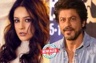 Revealed! Shehnaaz Gill doesn’t want to address SRK as ‘Sir’, and here is the reason