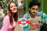 WOW! Mansi Srivastava and Farman Haider to feature in the Hindi remake of This show