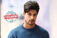 EXCLUSIVE! Ankit Gupta on people's changing perception towards him after Udaairyaan: I can see people taking me as a serious act
