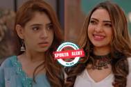 Audience Perspective: Is Bade Acche Lagte Hai 2 heading towards becoming another sister drama show with Prachi and Pihu?