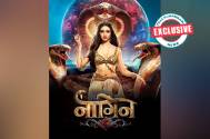 Exclusive!  This is one of the major reason why Naagin 6 is getting an extension every month