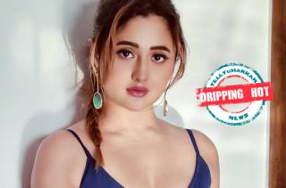 Dripping hot! Rashami Desai exudes glam in her latest photoshoot, CHECK OUT 