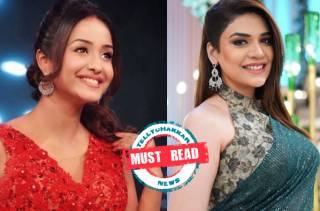 Must Read! From Tina Philip to Anjum Fakih, these Zee TV actresses are indeed exceptional, know why? | Deets Inside