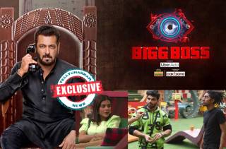 Bigg Boss 16 :  Exclusive! Netizens choose Priyanka Chahar Choudhary, Shiv and Mc Stan as their top three finalists of the show 