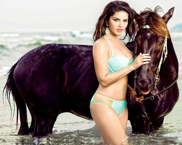 620px x 495px - Woah! Check out JAW-DROPPING pics of these hot divas as they pose with  Horses!