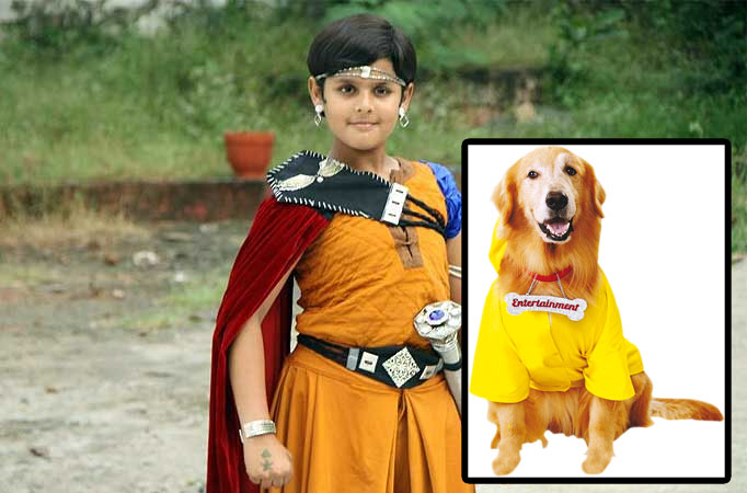 It's Entertainment' canine to do cameo in 'Baal Veer