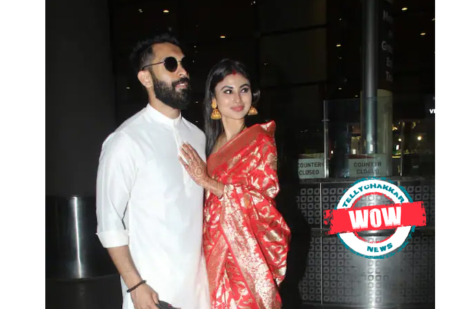 Wow! Newly-wed couple Mouni Roy and Suraj Nambiar make their first appearance post wedding
