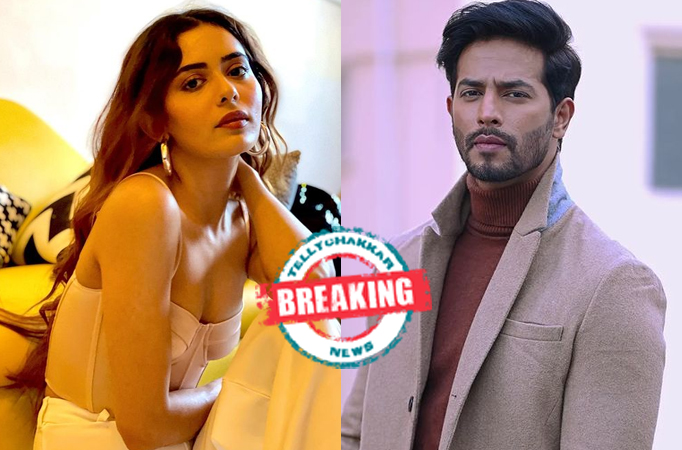 Breaking! Sana Sayyad and Sehban Azim's Spy Bahu is all set to go on air from this date