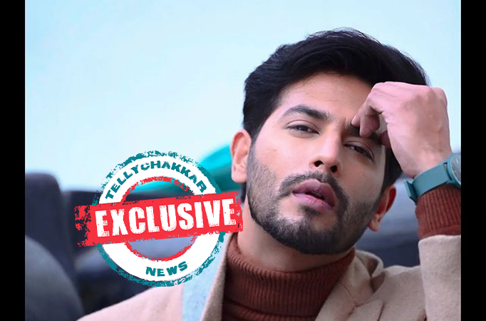 Exclusive: Thankfully, I've always got the best co-actors, says Spy Bahu lead Sehban Azim
