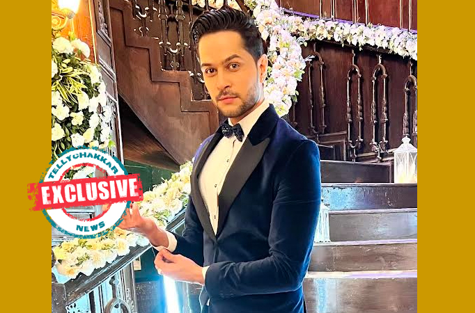 EXCLUSIVE! Bade Achhe Lagte Hain 2 actor Pranav Misshra on his take on marriage: I believe in the institution of marriage and wi