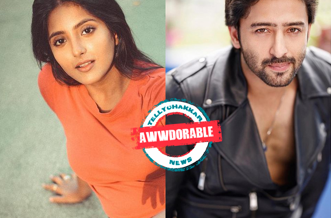 AWW-DORABLE! Banni and Kanha aka Ulka Gupta and Shaheer Shaikh have a special connection from the pages of History 