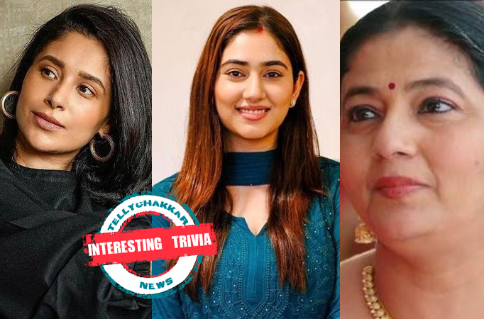 INTERESTING TRIVIA! Fans find COMMON SIMILARITY between Nandini, Priya and Meera's characters in Sony TV's Bade Achhe Lagte Hain