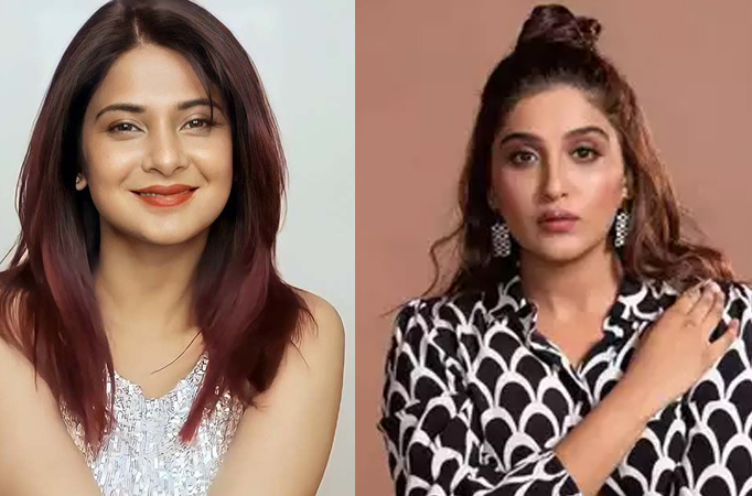 From Jennifer Winget to Nimrit Kaur Ahluwalia, check them out sporting sexy red hair color