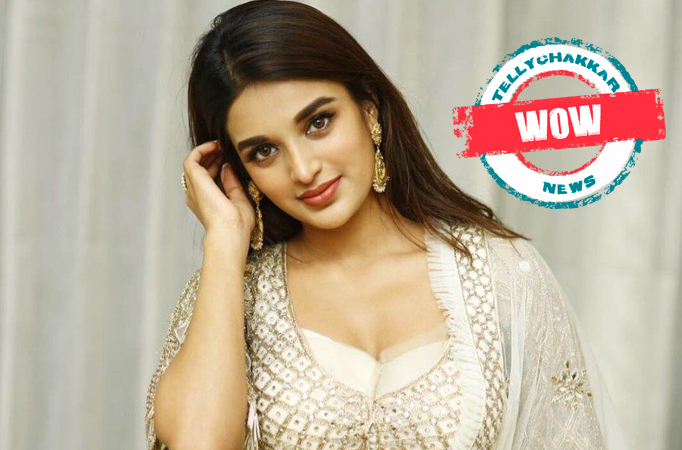 Wow! Check out some of the glamorous looks of Nidhhi Agerwal