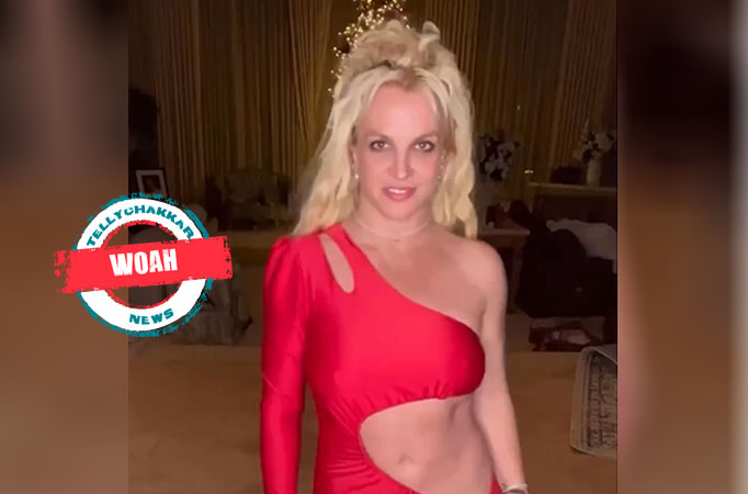 Britney Spears poses in see-through top after star reveals she