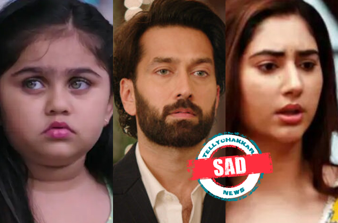 SAD! Pihu comes to know about her father, Ram and Priya have a major SHOWDOWN with regards to their daughter's custody in Sony T