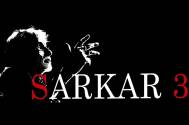 Big B begins shooting for 'Sarkar 3'