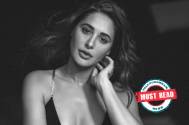 Must Read! This is why ‘Rockstar’ actress Nargis Fakhri took a break from acting 