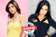 Interesting! These Bollywood actresses have admitted of having undergone plastic surgery, See for yourself