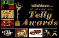 Which Weekender Show will win the top prize at the 13th Indian Telly Awards?
