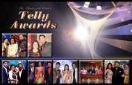 Vote for the Best Judge on a TV show at the 13th Indian Telly Awards