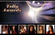 Best Actress in a Negative Role at the 13th Indian Telly Awards
