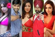 Pooja Missra, Aditi Gowitrikar, Manish Goel, Gurucharan Singh, Anmol Singh