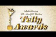 Twelfth Indian Telly Awards 