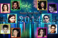 TV celebs share their New Year plans