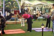 FIRST CAPTAIN(s) of Bigg Boss 9