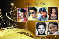 Bengali TV actors 'happening' New Year plans 