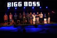 Maliks and Sevaks to stand equal after merger in Bigg Boss house