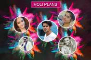 Holi8 Plans
