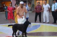 Dog chases Bapuji & Jethalal in Taarak Mehta Ka Ooltah Chashmah 