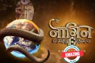 Amazing! Naagin 6 promo out; new naagin to wage a war against coronavirus?